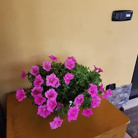 度假居 La Casa Di Simone *