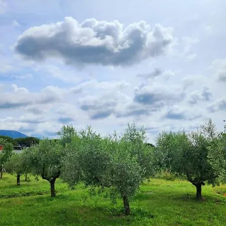 La Casa Di Simone * Torre Tre Ponti